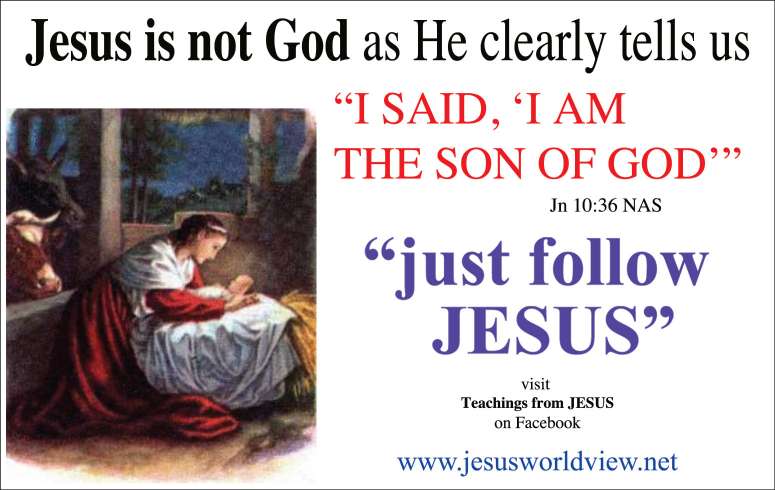 Kritters for christ coupon code