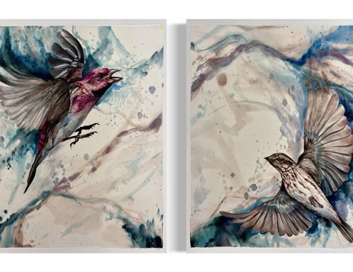 Bonnie Kurka, &ldquo;Birds of a Feather Diptych&rdquo;. 
Photo courtesy of Arts@302.