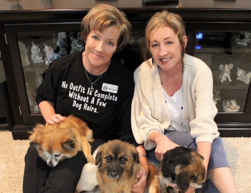 Pet Sitting Services of Tulsa co-owner Krista Keesling (left) said “the dogs always come first” with regards to her business. Keesling’s business partner is Jill Pratt (right), who handles much of the company’s marketing.