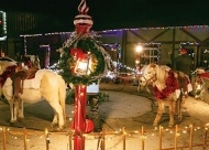 Photo courtesy of the Castle of Muskogee.