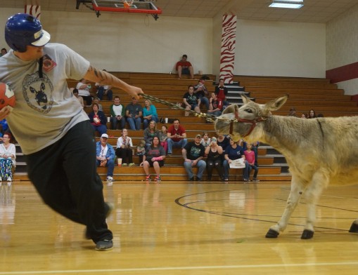 Rogers County Adult Day Care Brings Donkey Basketball back to Claremore