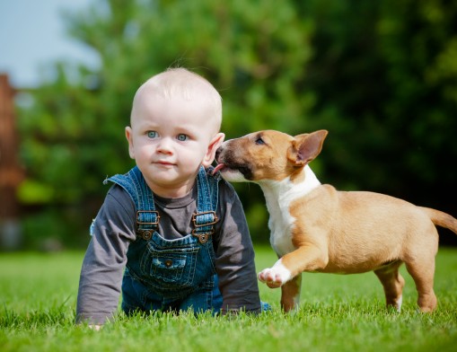 Your family will love to lounge in the yard after SoonerLawn works its magic on your lawn.