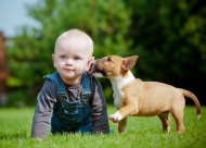 Your family will love to lounge in the yard after SoonerLawn works its magic on your lawn.