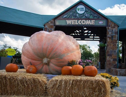 Oklahoma Pumpkin Growers (OGPG) Weigh-Off will be held in Claremore this year at the Rogers County Fair in September.
