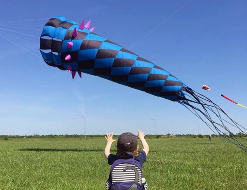 Rowen Stephens chasing kites.