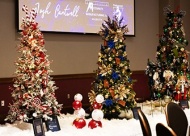 Photo courtesy of Safenet Services, Claremore, Oklahoma
