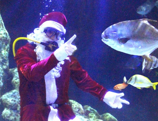 Take photos of the kids with Scuba Diving Santa Claus.