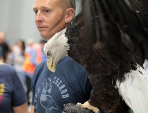 Conservation efforts of the Sutton Center are spread to the younger generation through education programs, at which, students get the opportunity to see a live Bald Eagle – a species which the center helped to thrive in the state of Oklahoma.
