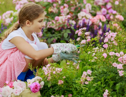 Tulsa Garden Center