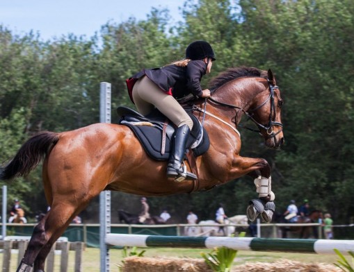 SpringFest Hunter Jumper Horse Show is a clinic for young riders and will be held March 18-19.