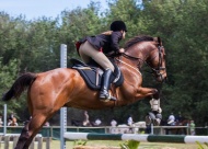 SpringFest Hunter Jumper Horse Show is a clinic for young riders and will be held March 18-19.