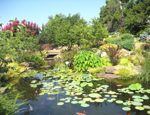 The Tulsa Garden Center is home to the Linnaeus Teaching Garden, a multi-purpose garden that includes a classroom as well as many programs and gardens for numerous visitors to admire.