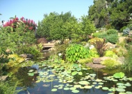 The Tulsa Garden Center is home to the Linnaeus Teaching Garden, a multi-purpose garden that includes a classroom as well as many programs and gardens for numerous visitors to admire.