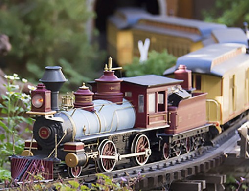 Bring your family to watch the garden railroad trains run as you tour this year’s show.