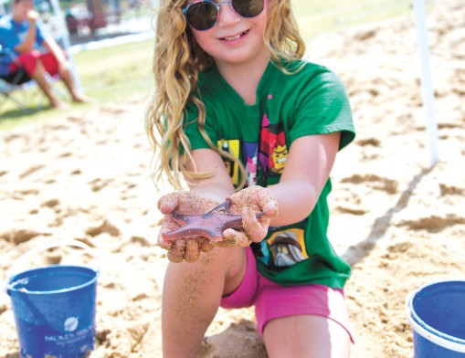 Build sand castles at Nienhuis Aquatic Facility’s
Sand Dazzle event.