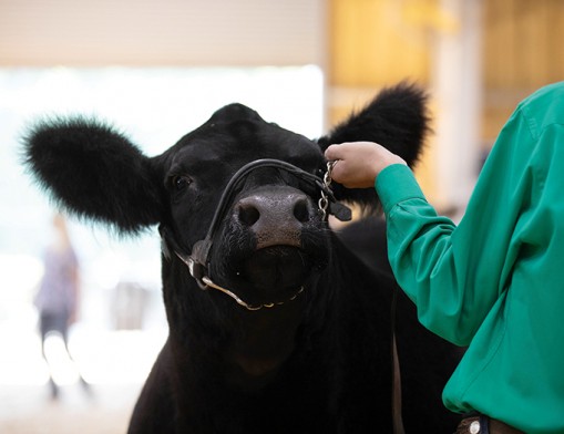 Photo courtesy of Rogers County Fair Board, September 2026.