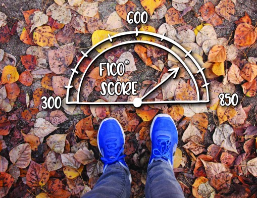 Your FICO® Score is calculated based on five factors: 
• 35 percent: Payment history
• 30 percent: Amounts owed on credit and debt
• 15 percent: Length of credit history
• 10 percent: New credit
• 10 percent: Types of credit used