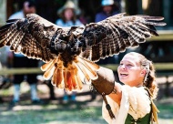 Experience jousting knights, the Edged Feather Experience, and the Queen’s Tea during the Oklahoma Renaissance Festival. Photo courtesy of The Castle of Muskogee.