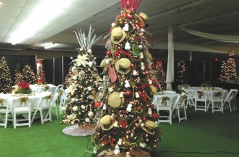 Several gorgeous, fully decorated Christmas trees will be auctioned at the Festival of Trees.