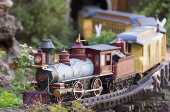 The live action Garden Railroad Trains will be running all weekend.
