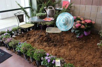Plants, gardens, gardening supplies and information will be available at the three-day Home & Garden Show.