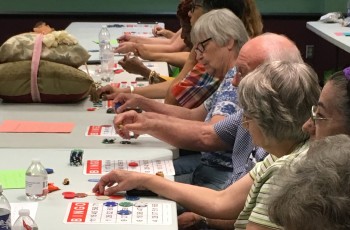 Enjoy a game of bingo at the Senior Safety and Lifestyle Fair.