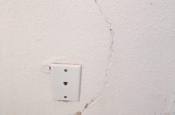 Once termites begin infestation in the home, they may go unnoticed until extensive damage has occurred inside the walls.