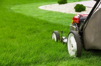 For the past 11 years, Sooner Lawn has been delivering a six-step lawn care program from early spring through fall that gets rid of weeds and nourishes grass so it will look good year-round.  