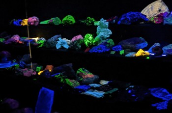 The DW Correll Museum in Catoosa houses a smaller scale Fluorescent Room, similar to the one found at the TRMS show, which is larger in scale. Some minerals and rocks will fluoresce under UV Lights, making for a magnificent, glowing spectacle.