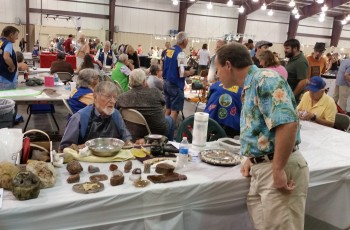 Each vendor displays a unique collection of gems and precious stones at the Gem and Mineral Show.
