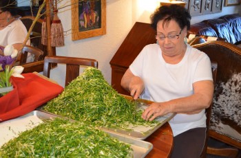 Jennie Gilliam carefully chops up the green onions to be mixed with scrambled eggs as part of the Pocahontas Club’s “spring tonic” cleansing for the Wild Onion Feast.