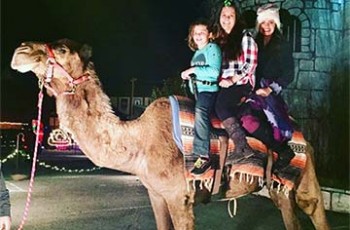 Cletus the Camel
Nov 25 -Dec 25th $8 Per Person - All Ages Welcome take a stroll around the Village Center on Cletus the Camel Cletus will be here on weekends throughout the holiday season. Please verify on the Castle's Calendar when planning a trip.  Photo courtesy of the Castle of Muskogee.