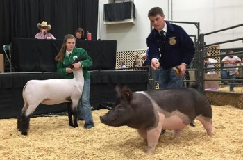 Students earning top honors at the fair further compete at the premium sale for the chance to earn funding toward future projects or college.