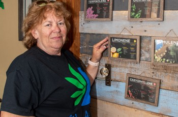 Owner, Danna Malone; The Shoppe is extraordinarily knowledgeable about the medicinal use of marijuana.  Here, Danna explains the role that Terpenes, a cannabis derivative, have in helping patients.  Cancer patients have found significant results with the use of Terpenes. They are produced by a variety of plants, particularly conifers, and by some insects. They often have a strong odor and may protect the plants that produce them.  Many edible herbs and plants have them, but they are most productive when applied medicinally in marijuana.
