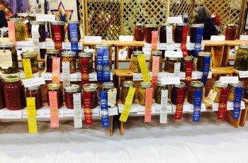 Blue-ribbons go to top competitors, with other honors to be had at the Rogers County Fair.