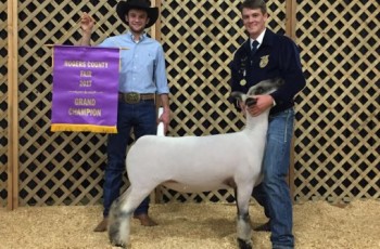 Your support helps students to re-invest in their next livestock project or put it in their college fund. PHOTO COURTESY OF ROGERS COUNTY FAIR PREMIUM AUCTION