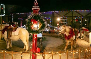 Christmas Ponies
Nov 25 - Dec 25th $10 Per Person Take a stroll on the cutest lil' ponies around!  Photo courtesy of the Castle of Muskogee.