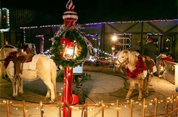 Christmas Ponies
Nov 25 - Dec 25th $10 Per Person Take a stroll on the cutest lil' ponies around!  Photo courtesy of the Castle of Muskogee.