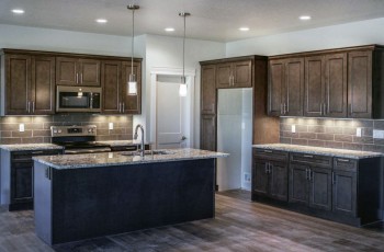 Premium Cabinets uses real birch plywood on the cabinet boxes and authentic maple for the faces and frames, as shown on these raised panel cabinets.