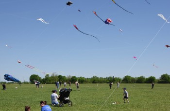 1000 free kites will be available to decorate Saturday and Sunday, or you can bring your own to fly over the sunny Oklahoma skies at Events Park.
