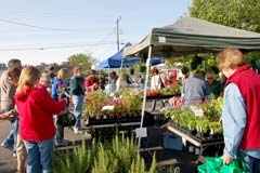 Shoppers enjoy a variety of garden-related vendors at the Jenks Herb & Plant Festival.
