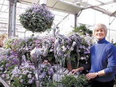 Committee member Dixie Grahlman checks out plants that will be provided by Southwood Nursery for the 14th annual Jenks Herb and Plant Festival.