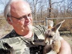 Frank Gaddy with a baby kangaroo at Safari’s Sanctuary in Broken Arrow.
