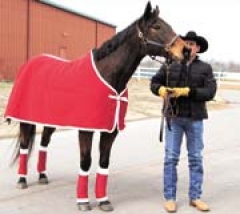 Rich in Dallas, the horse who portrayed Seabiscuit in the 2004 Disney film, now takes residence at the Tulsa Boys’ Home. Scott Averill is in charge of TBH’s Equine Program.