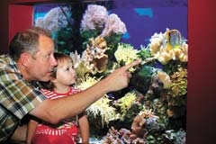 Phil Tate, the Aquarium’s exhibits supervisor, gives Teagan, his two-year-old, a personal tour.