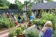 Visitors enjoy the veggie garden area.