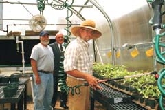 Doug Holman, Will Rogers Memorial Museum horticulturist, waters “Will Rogers Zinnias” in the Claremore school system greenhouse. Mike Martin (from left), Museum groundskeeper, and retired school 
administrator, and Mike McClaren, Claremore superintendent of schools, forged the partnership for use 
of the greenhouse.