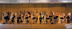 Midwest Harp Festival participants include youth, teens and adults joining together non-competitively to perform beautiful music.