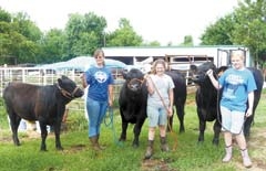 The Branen sisters show the steers they are entering in the ­livestock competition of the Collinsville Tri-County Fair.