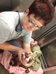 Animal Control Officer Rocky Ambrister with a rescued dog and her pups.